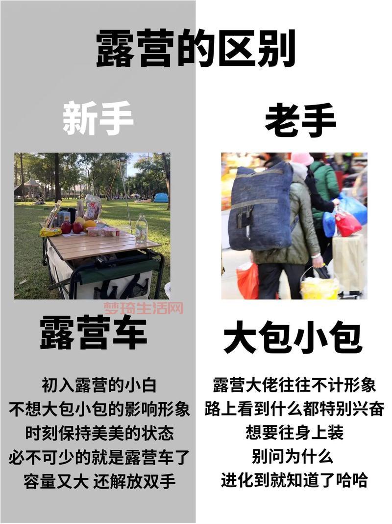 变形金刚2游戏攻略，新手老手都适用的技巧