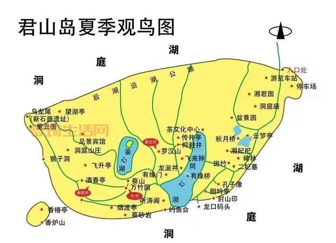 哪里能看到知更鸟？这份观鸟地图送给你！