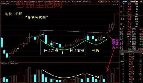 仙途2怎么快速升级？老玩家分享独家秘籍！