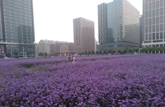 天津市滨海新区双核发展_于家堡响螺湾地区人气提升_天津滨海新区最新消息