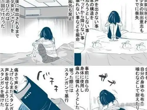 新泻少女监禁事件_佐野房子失踪案_少女监禁2