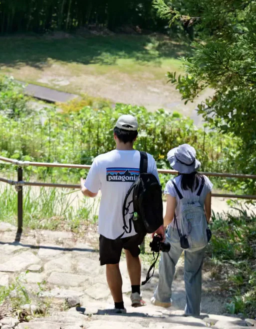 日本熊灾，吓跑多少中国游客？