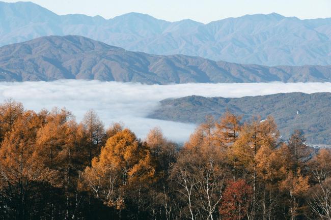 日本熊灾大难不死职员已重返职场