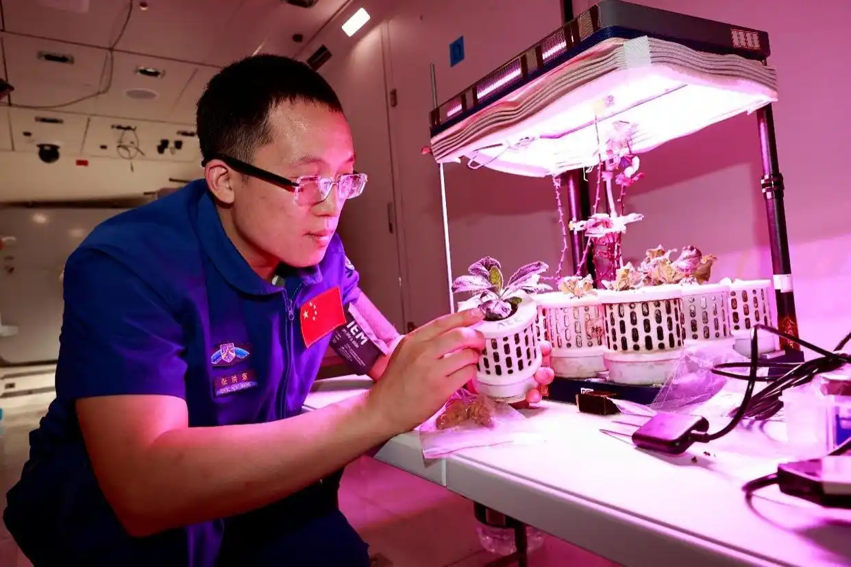 神舟二十一号航天员张洪章_神舟二十一号发射成功_载荷专家张洪章