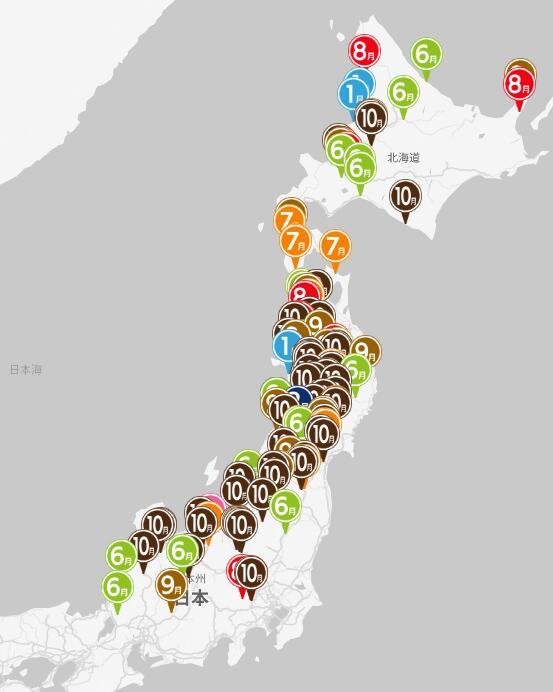 熊灾泛滥毁物伤人,日本考虑出动自卫队协助灭熊