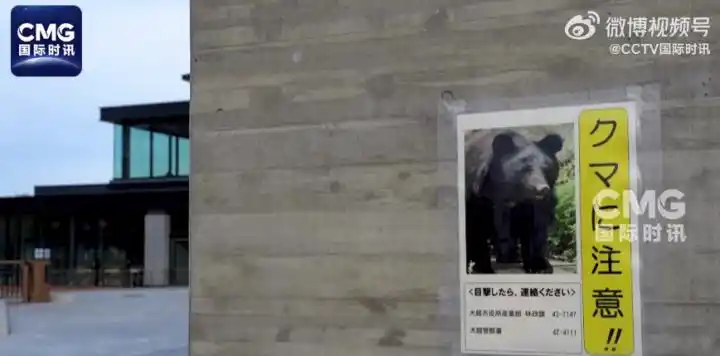 2025财年日本熊害死亡人数_日本熊灾现场有明显吃人痕迹_日本熊袭人事件