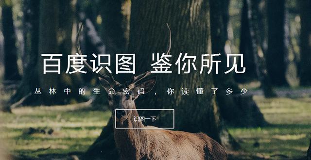 百度识图_百度脑图_百度一下 没有图片