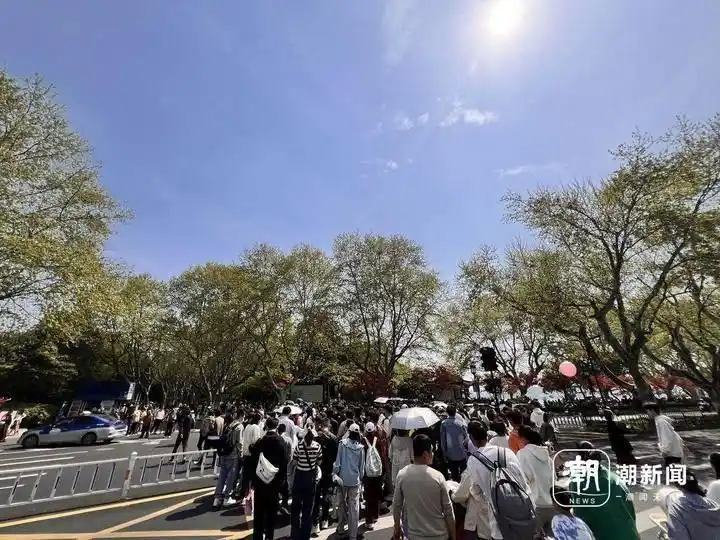 断桥上铺满了人：清明假期第二天，西湖边春意浓浓“人从众”