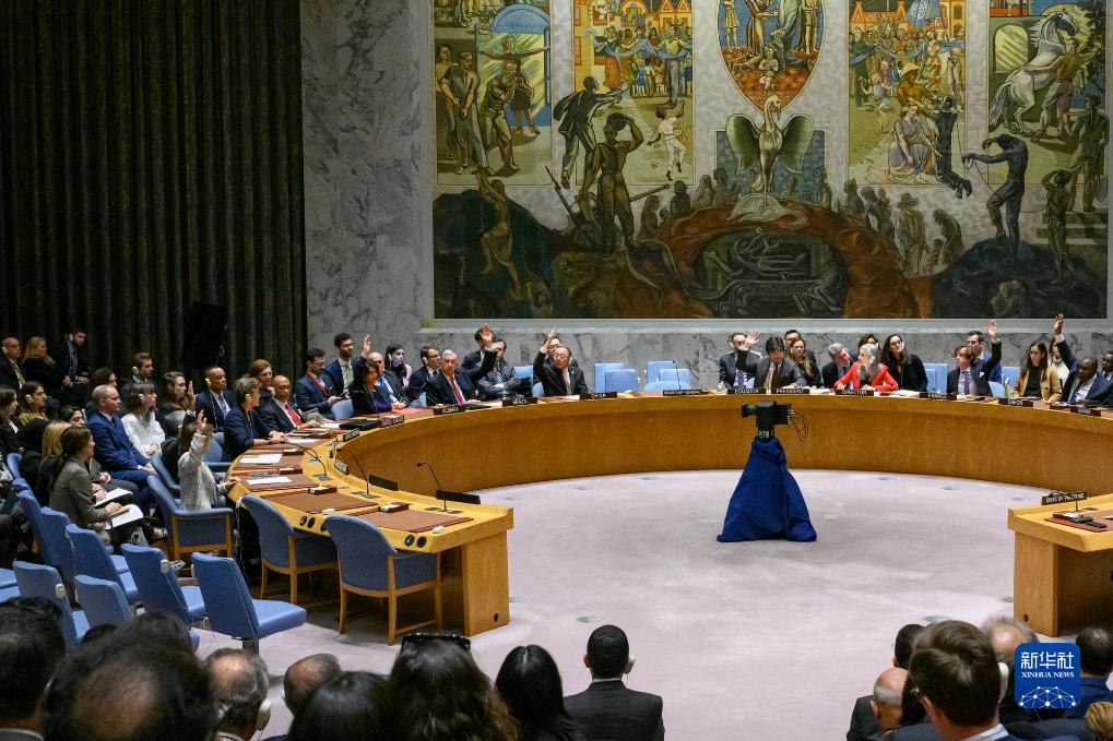 美国否决安理会巴以停火决议草案　多国表示失望