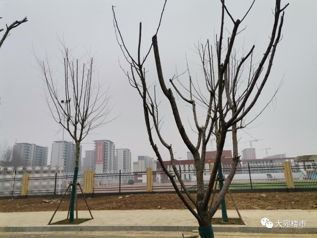 南阳万事达房地产现状_万科郁亮2022年房地产破釜沉舟背水一战去金融化黑铁时代南阳房企生存现状分析建业碧桂园中梁蓝光金科阳光城兴达永威正商绿都