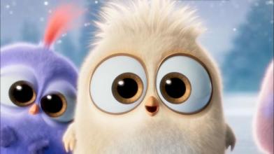 愤怒的小鸟电影 萌力 评价_愤怒的小鸟电影 票房 视觉效果_愤怒的小鸟下载到手机