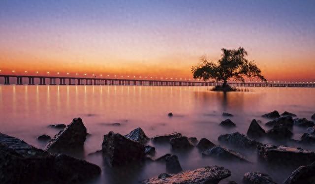 一个人是否孤独，一看便知：孤独的人，一般都有这4个特征