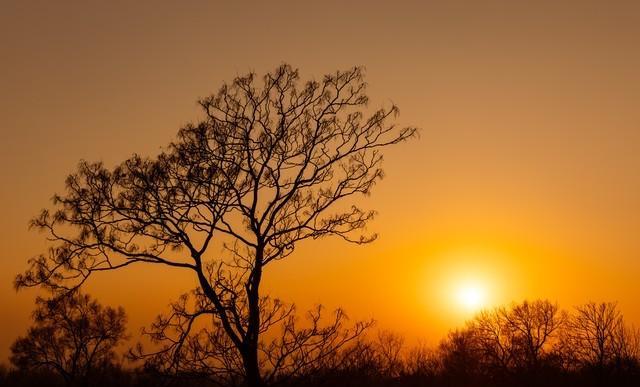 享受孤独_测试我现在处在人生的什么位置_建设性独处