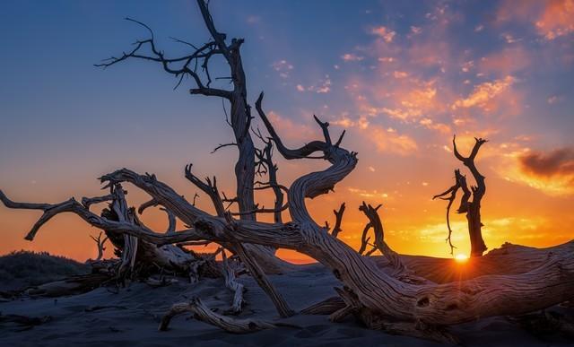 建设性独处_测试我现在处在人生的什么位置_享受孤独