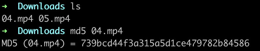 修改文件md5值绕过百度网盘分享限制_百度网盘敏感词分享失败md5值识别_百度云该文件禁止分享