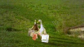 政府网站404打不开_404错误页面设计_404页面创意案例