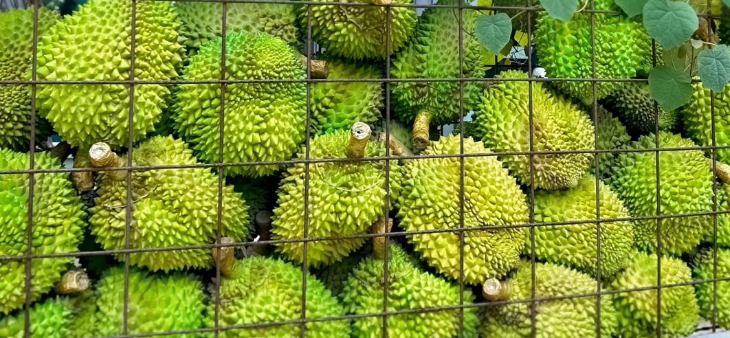 年轻人疯狂爱上榴莲盲盒，但谁能把价格打下来？