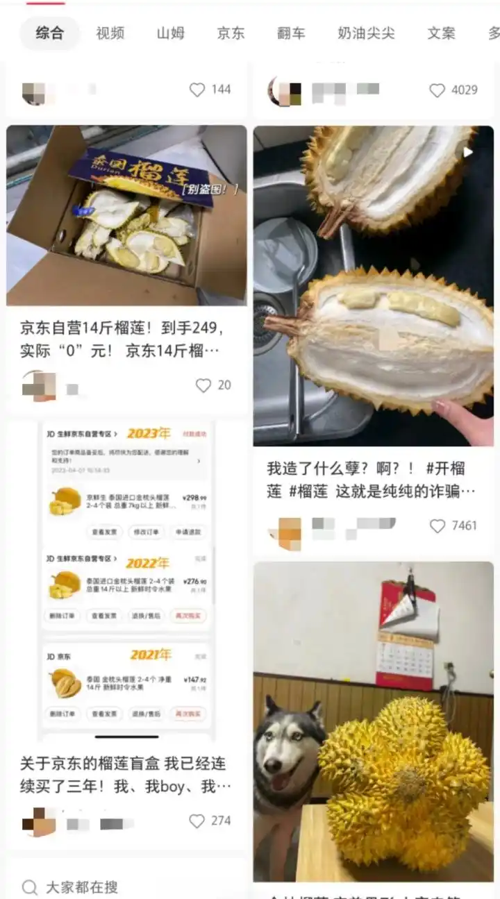 榴莲价格下降原因_只把价格打下来不是真“榴莲自由”_国产榴莲种植进展