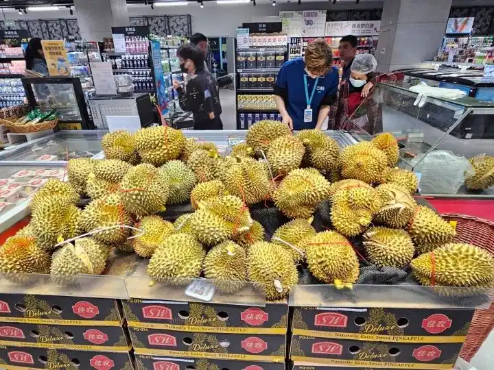 榴莲价格下降原因_国产榴莲种植进展_只把价格打下来不是真“榴莲自由”