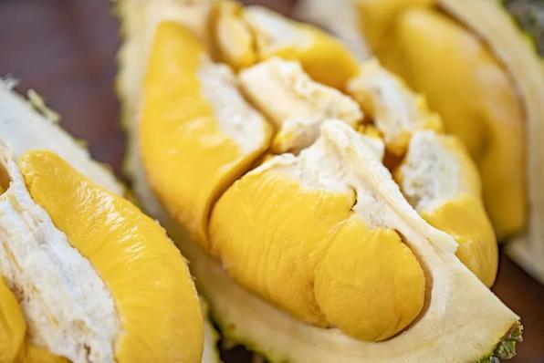 国产榴莲价格预测_国产榴莲上市时间_只把价格打下来不是真“榴莲自由”