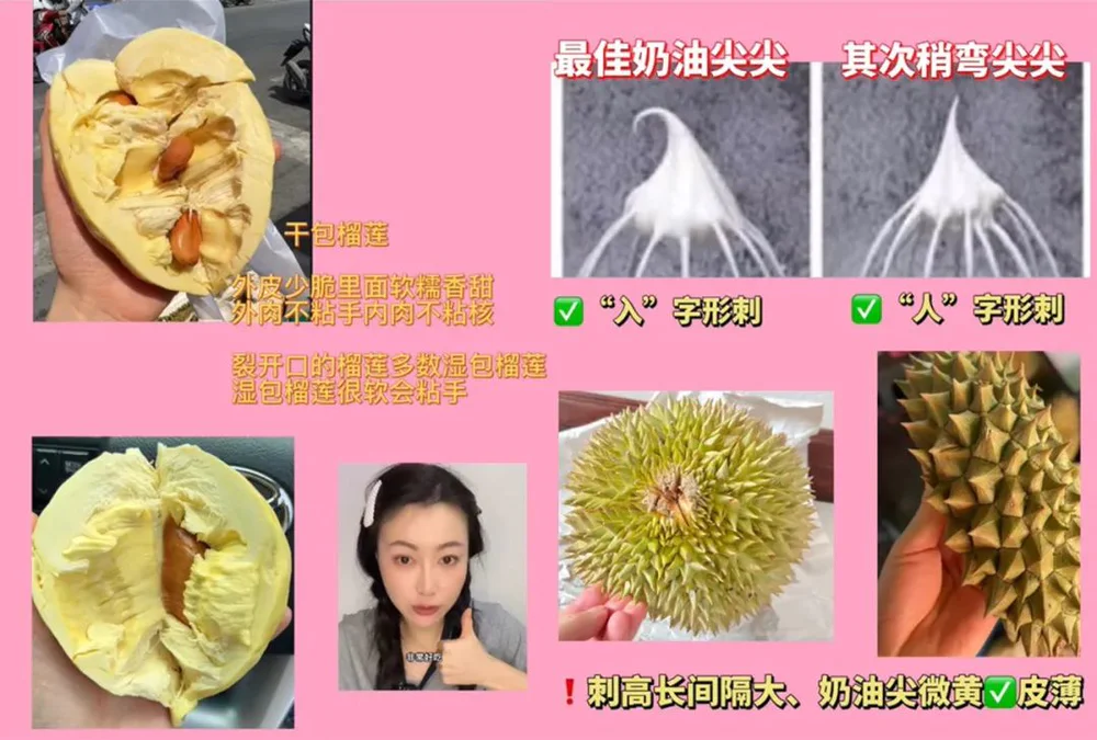 只把价格打下来不是真“榴莲自由”_海南榴莲价格预测_榴莲价格走势