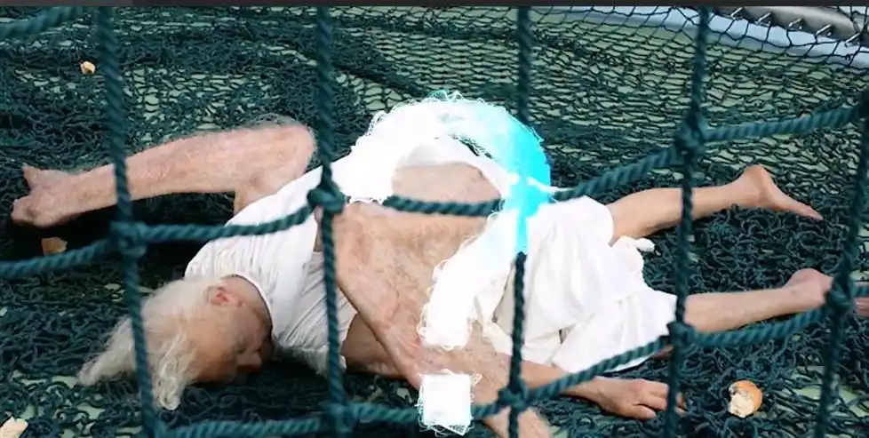 鬣蜥从树上掉下来 现象解释_天使从天而降 事件真相_食物从天而降