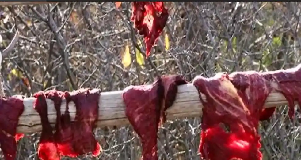 鬣蜥从树上掉下来 现象解释_食物从天而降_天使从天而降 事件真相