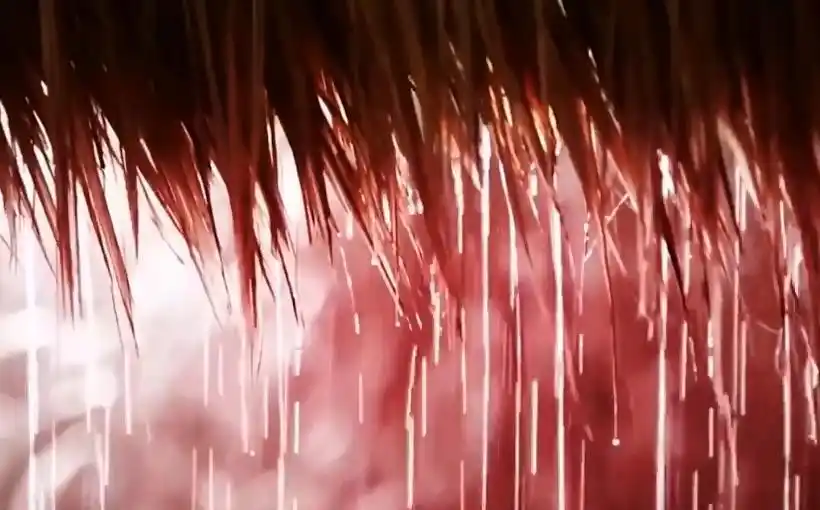 天使从天而降 事件真相_鬣蜥从树上掉下来 现象解释_食物从天而降