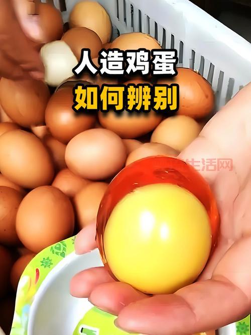人造鸡蛋多少钱一个？和真鸡蛋比哪个更划算？