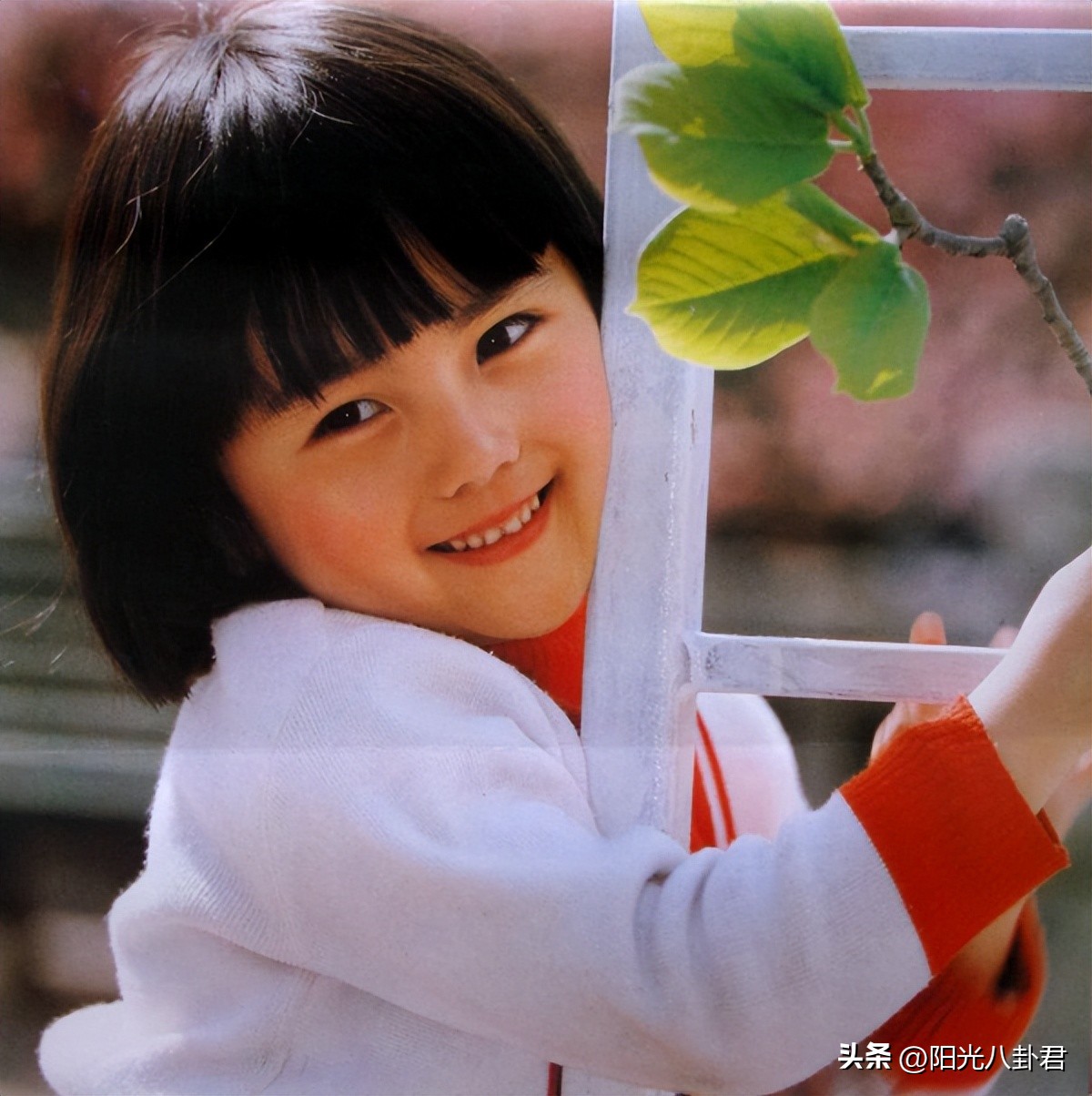 小史可个人资料及图片_小史可  阿部力 婚姻