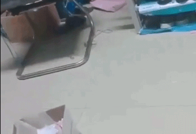 超轻贴土汤姆猫和老鼠_猫和老鼠现实场景_猫和老鼠动画梗现实版