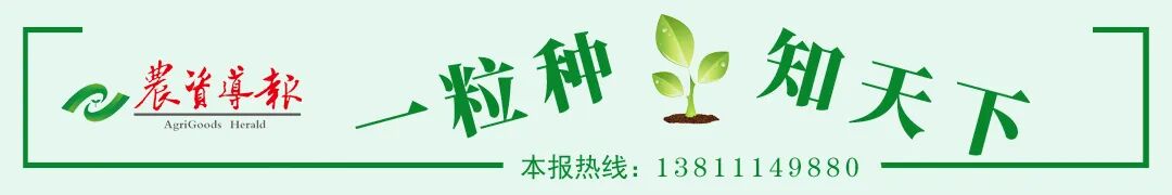 转基因育种对比_转基因文章没有表型_常规育种优势