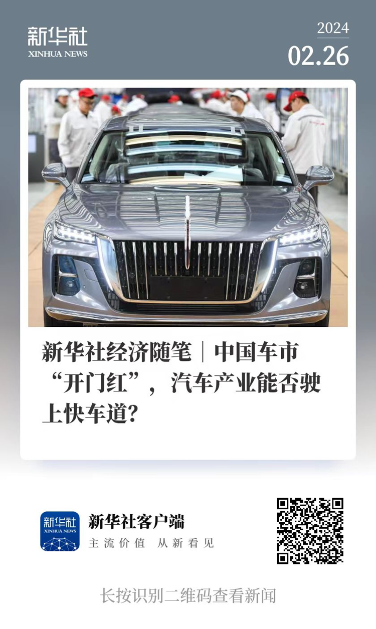 新华社电视台杨国强_新华社经济随笔_中国经济微电影