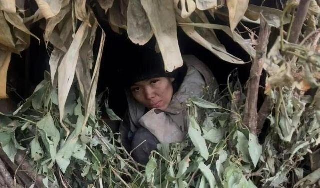 七星山荒野求生退回“陶器时代” 女选手坚韧生存挑战