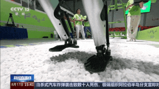 人形机器人技术发展_人形机器人为啥进步“神速”?_人形机器人应用场景