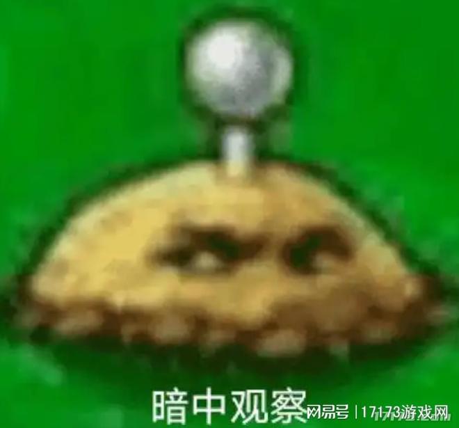 植物大战僵尸 花园_植物大战僵尸同人创作_植物大战僵尸短视频现象级传播