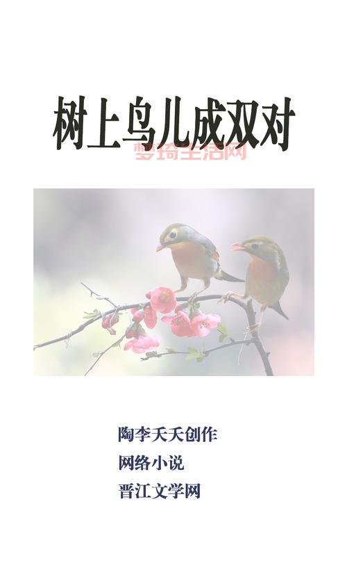 树上的鸟儿成双对，快来看这些小鸟有多恩爱！
