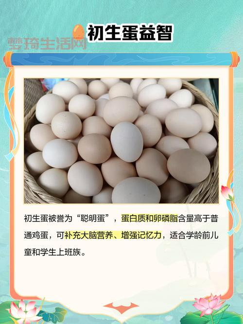 哪里能买到真的初生蛋？教你几个小妙招辨真假！