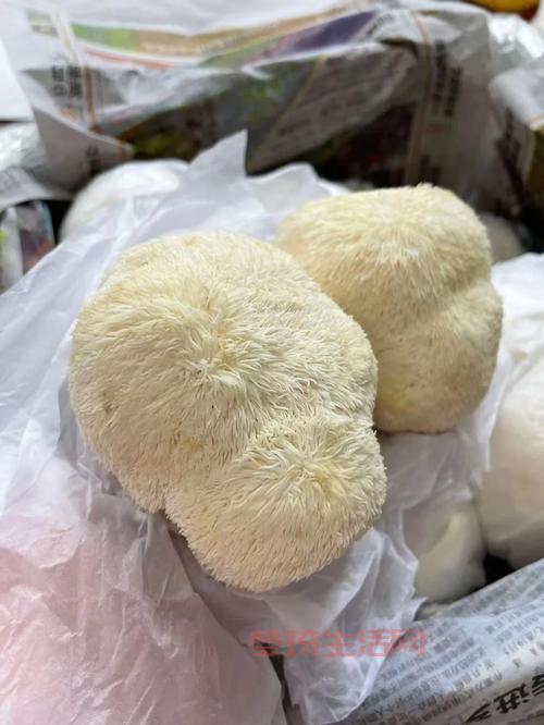 猴头菇怎么吃才不发苦？掌握这个小技巧味道鲜美！