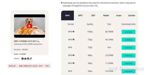 视频素材解析网站_可以看各种综艺的网站_免费视频下载网站