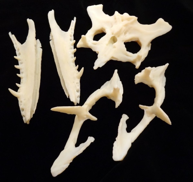 3D打印应用领域_3d打印笔结构_3D打印技术原理