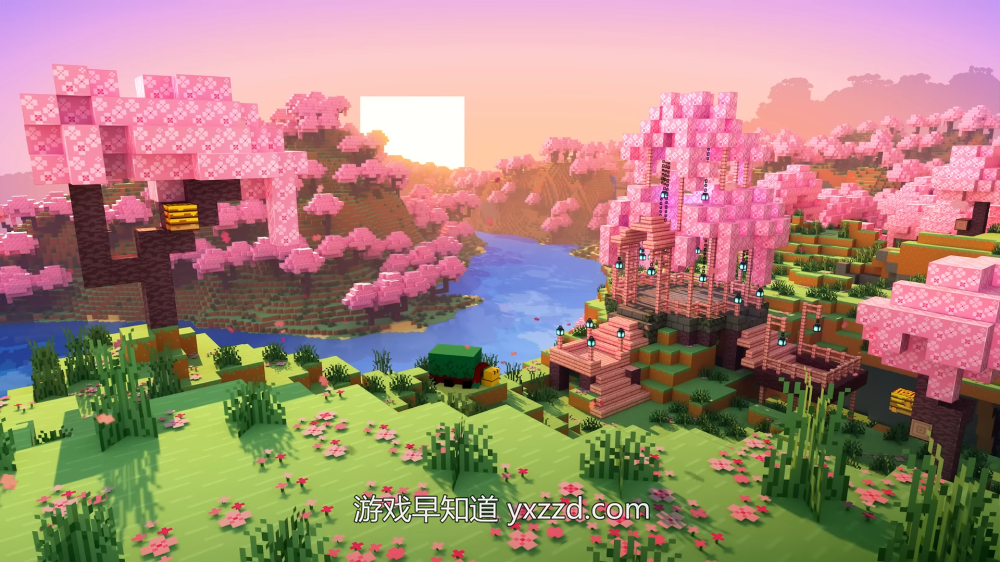 花园里的景色低可信度描述已自动生成