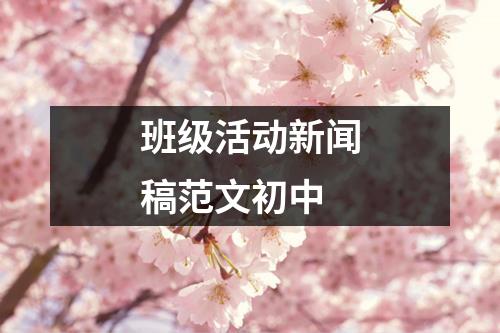 班级活动新闻稿范文初中