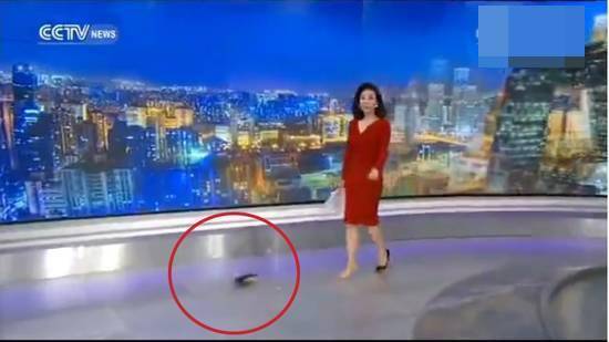 电视台英语_英语电视台多吗_电视英语台几台
