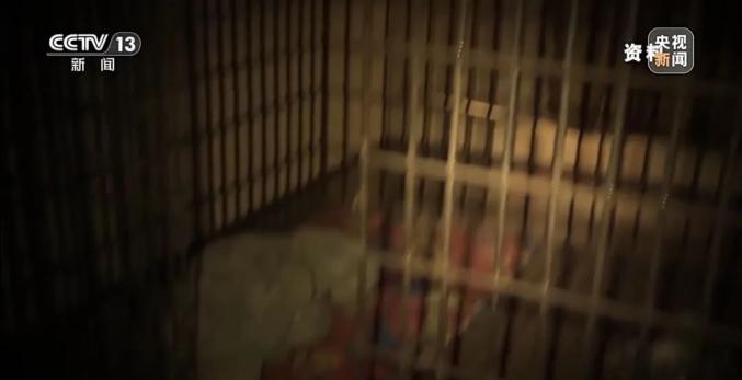 安徽合肥高中生被诱骗至缅甸电诈园区案例_高中生轻信高薪兼职被骗至境外电诈园区_高中生被迫电诈时刷到父亲寻子新闻