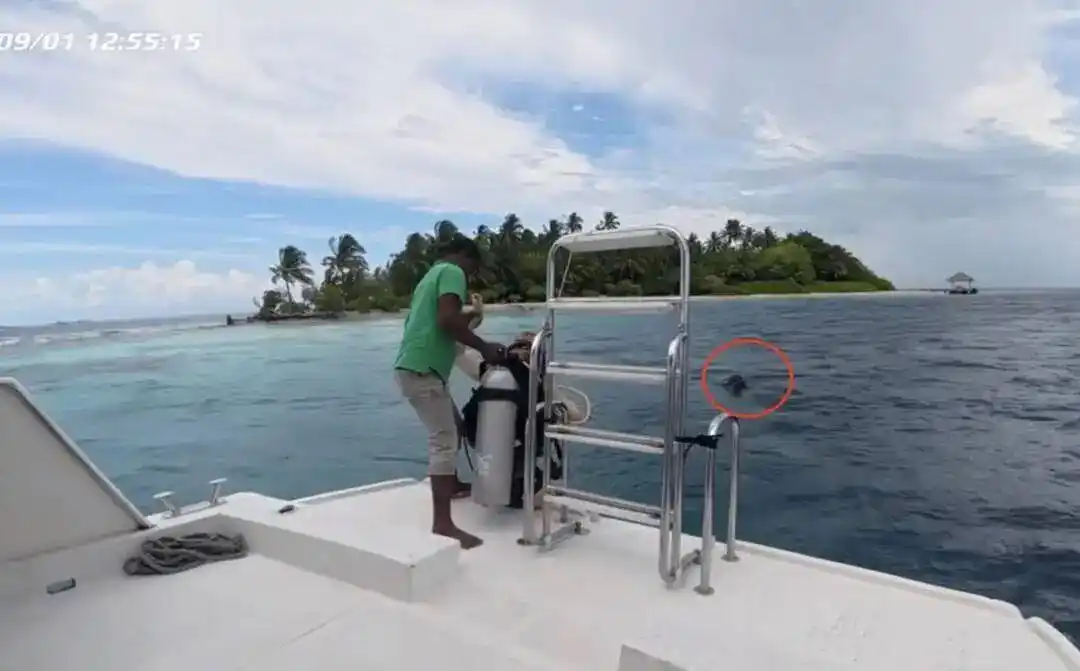 马尔代夫潜水遇险_有中国游客在马尔代夫浮潜时溺亡_潜水船遗留游客事件