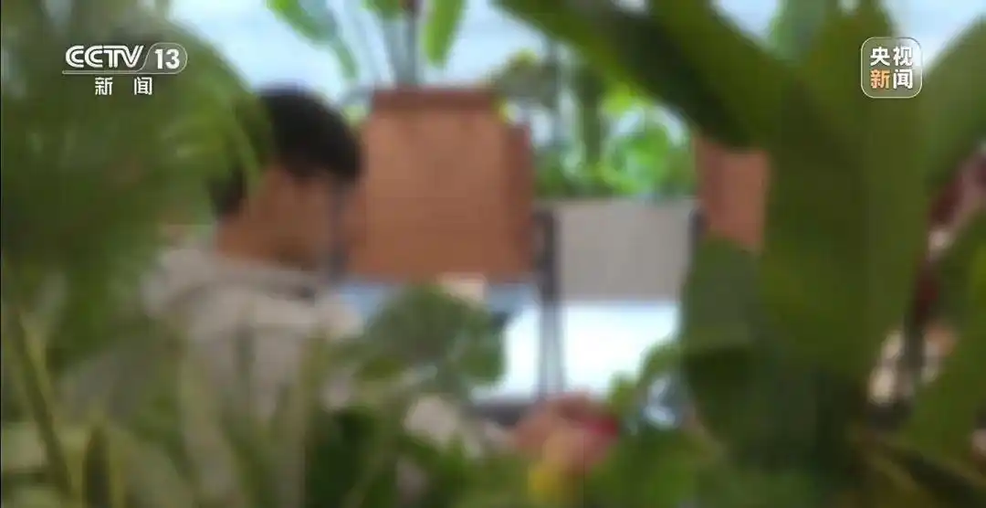 父亲讲述高中生身陷电诈细节：不听话就白天暴晒晚上挨打，帅小伙会被迫以恋爱名义在平台上聊天引流