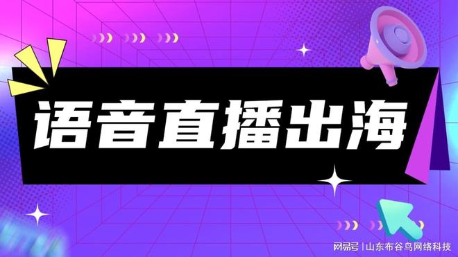 语音直播交友出海:语音直播交友系统软件源码搭建国际化发展技术