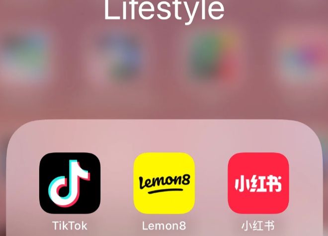 小红书TikTok难民 国际社交平台 中国电动车种草_免费国际交友软件下载