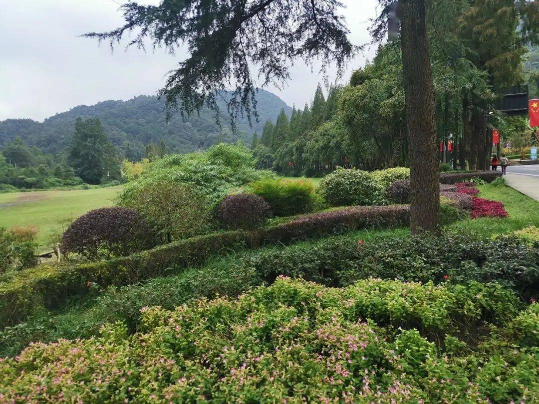 通讯体裁 人物报道_人物通讯写作技巧_事件通讯报道方法